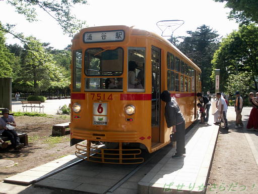 イメージ 6