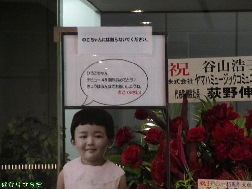 イメージ 7
