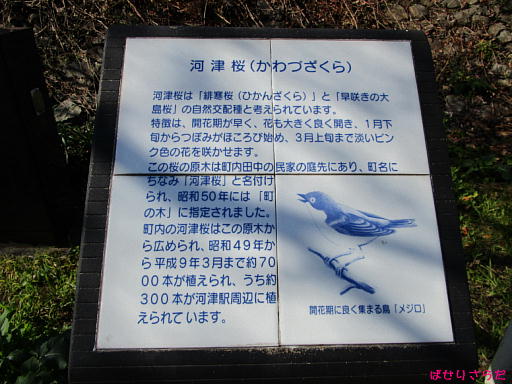 イメージ 4