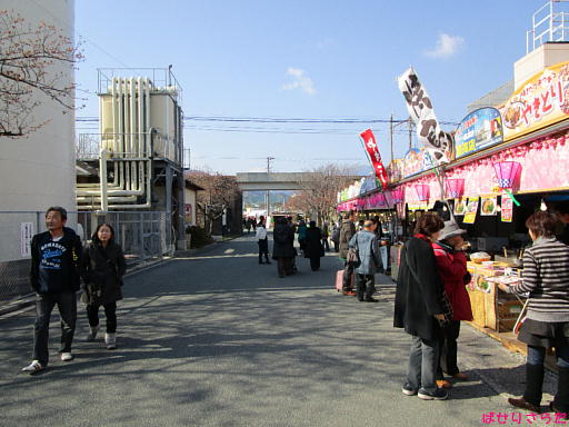 イメージ 5