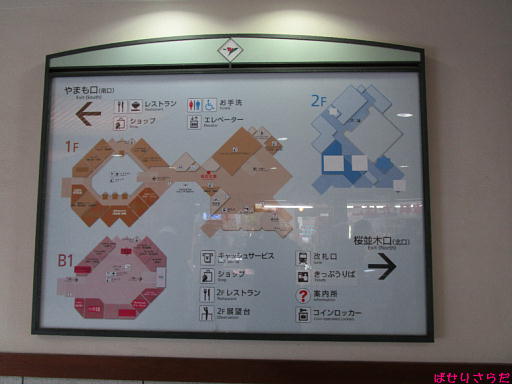 イメージ 5
