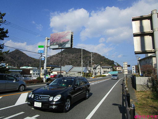 イメージ 5