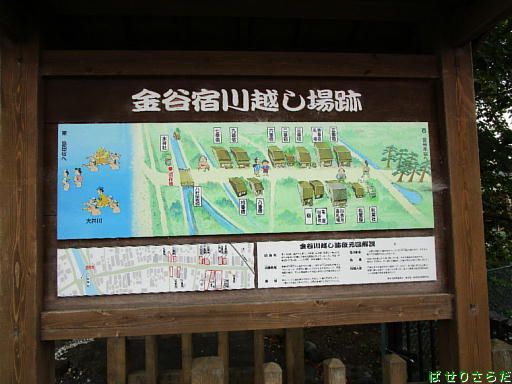 イメージ 10
