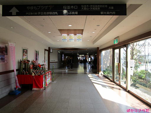 イメージ 6
