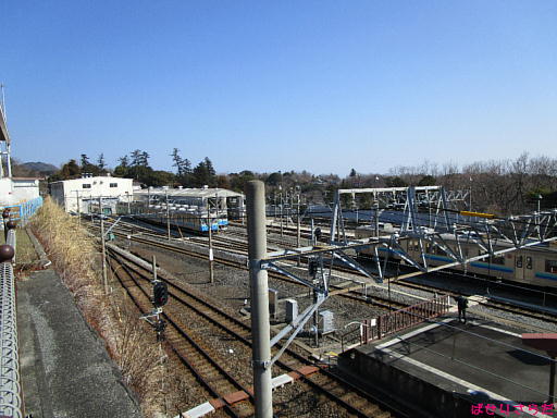 イメージ 5