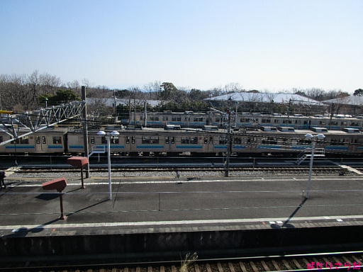 イメージ 6