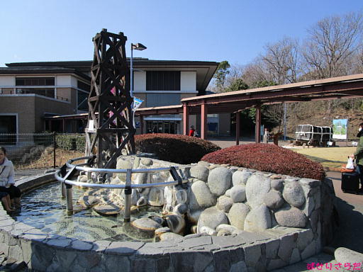 イメージ 7