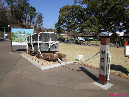 イメージ 8