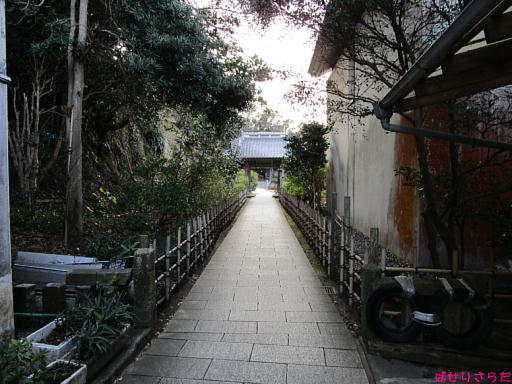 イメージ 8