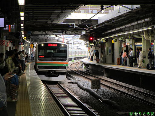 イメージ 7