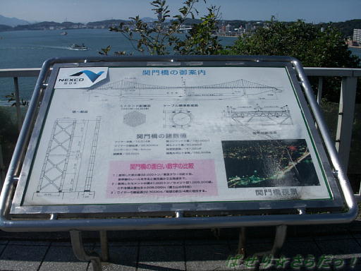 イメージ 5