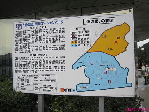 イメージ 6