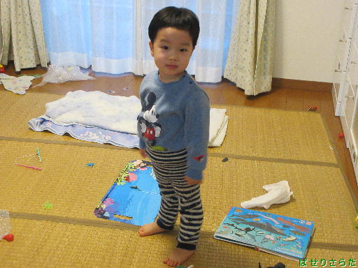 イメージ 6