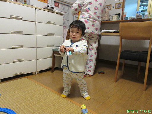イメージ 6
