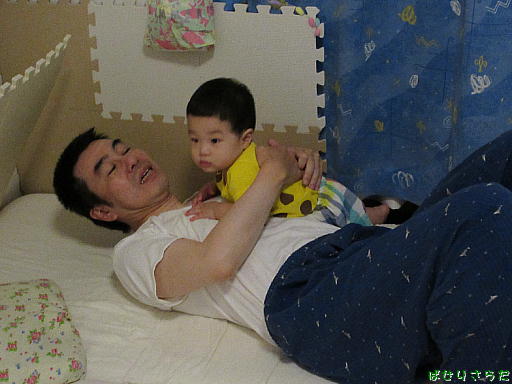 イメージ 6