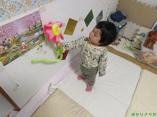 イメージ 9