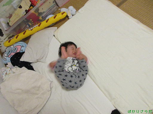 イメージ 3