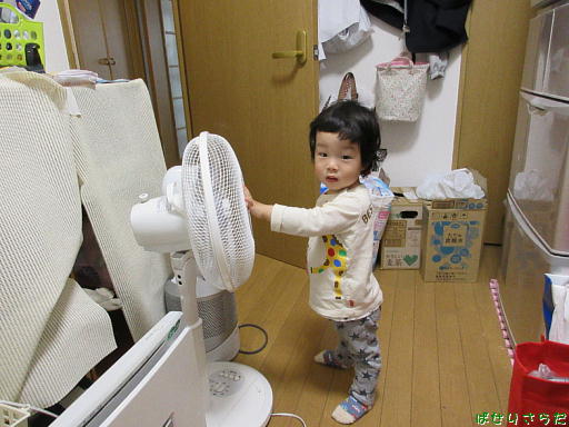 イメージ 3