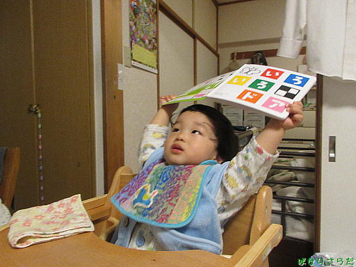 イメージ 7