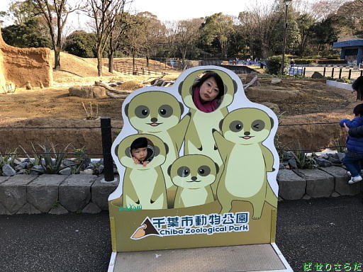 イメージ 2