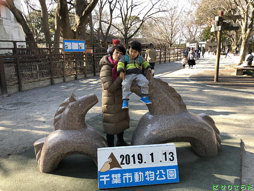 イメージ 4