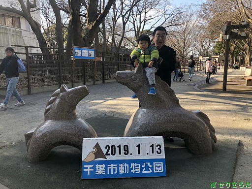 イメージ 5