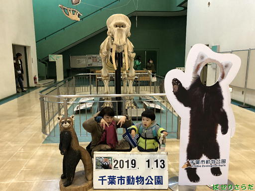 イメージ 9