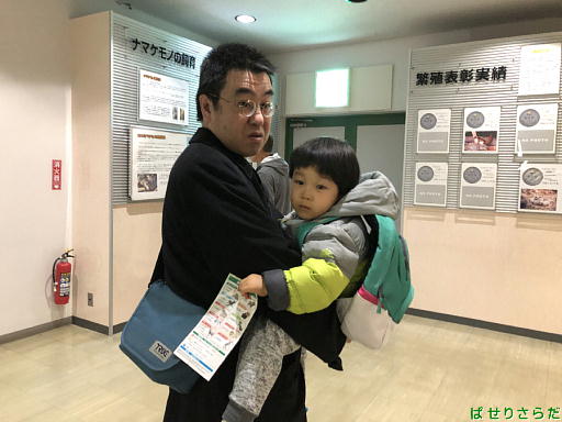 イメージ 10