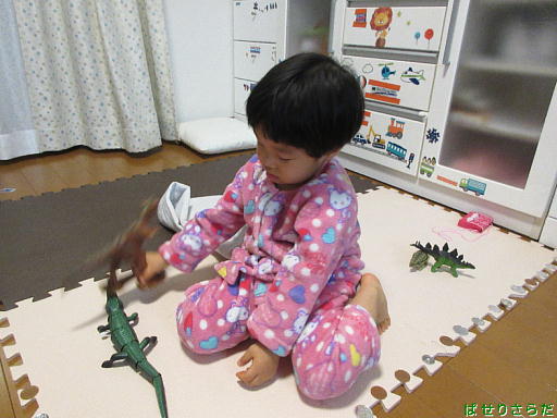イメージ 10