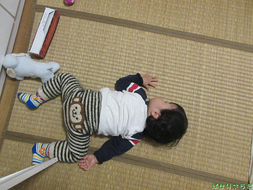 イメージ 4
