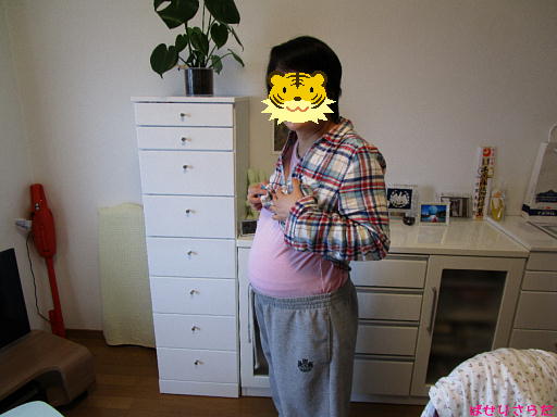 イメージ 6