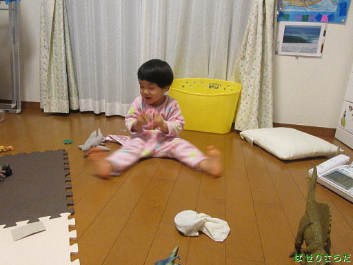 イメージ 5
