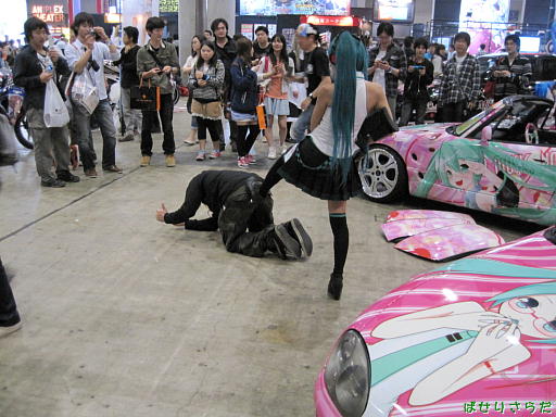イメージ 7