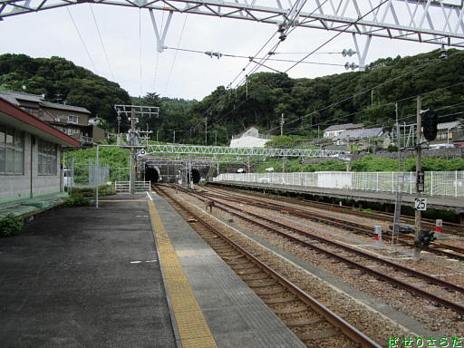 イメージ 5