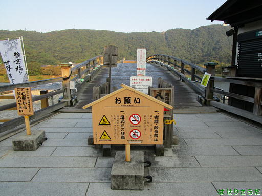 イメージ 6