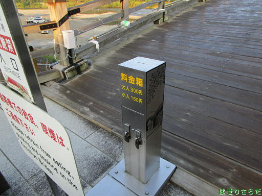 イメージ 8