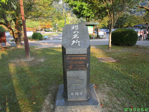 イメージ 8