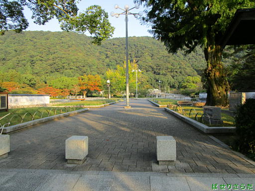 イメージ 9