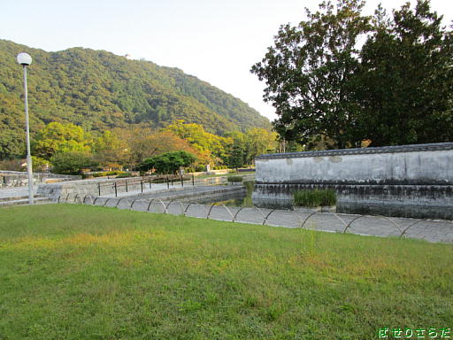 イメージ 10