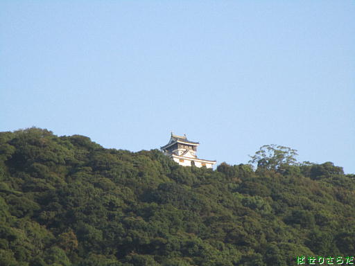 イメージ 3