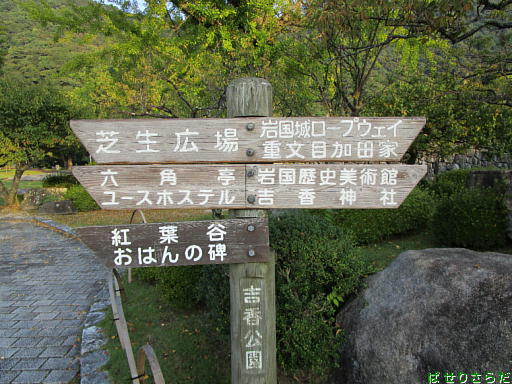 イメージ 6