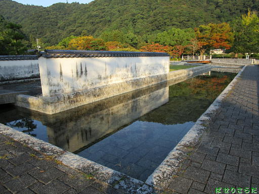 イメージ 8