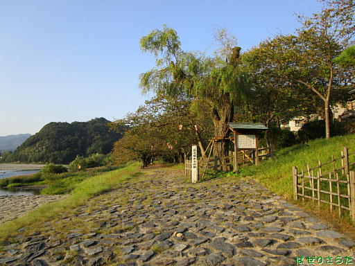 イメージ 7