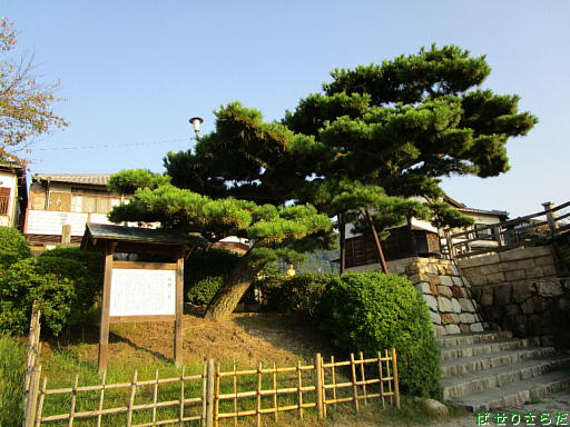 イメージ 8