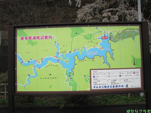 イメージ 5