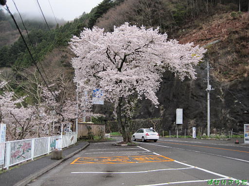 イメージ 6