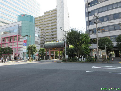 イメージ 7