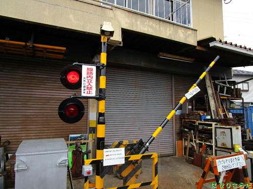 イメージ 7