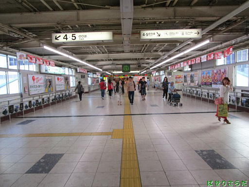 イメージ 6