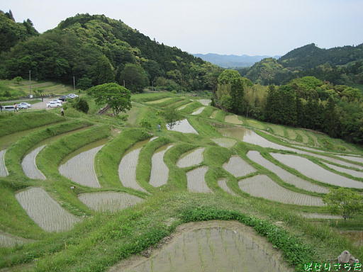 イメージ 4